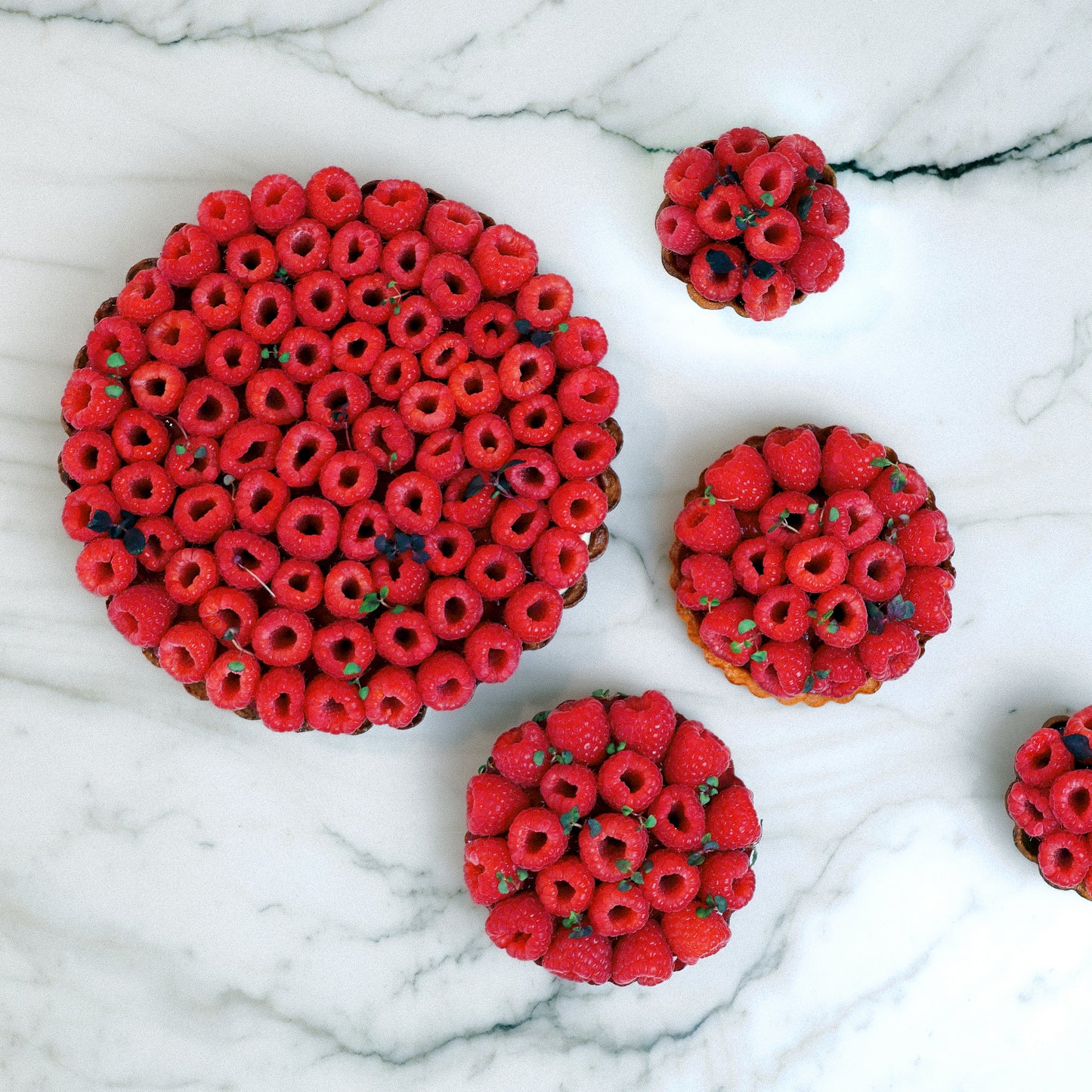 Tartes aux framboises