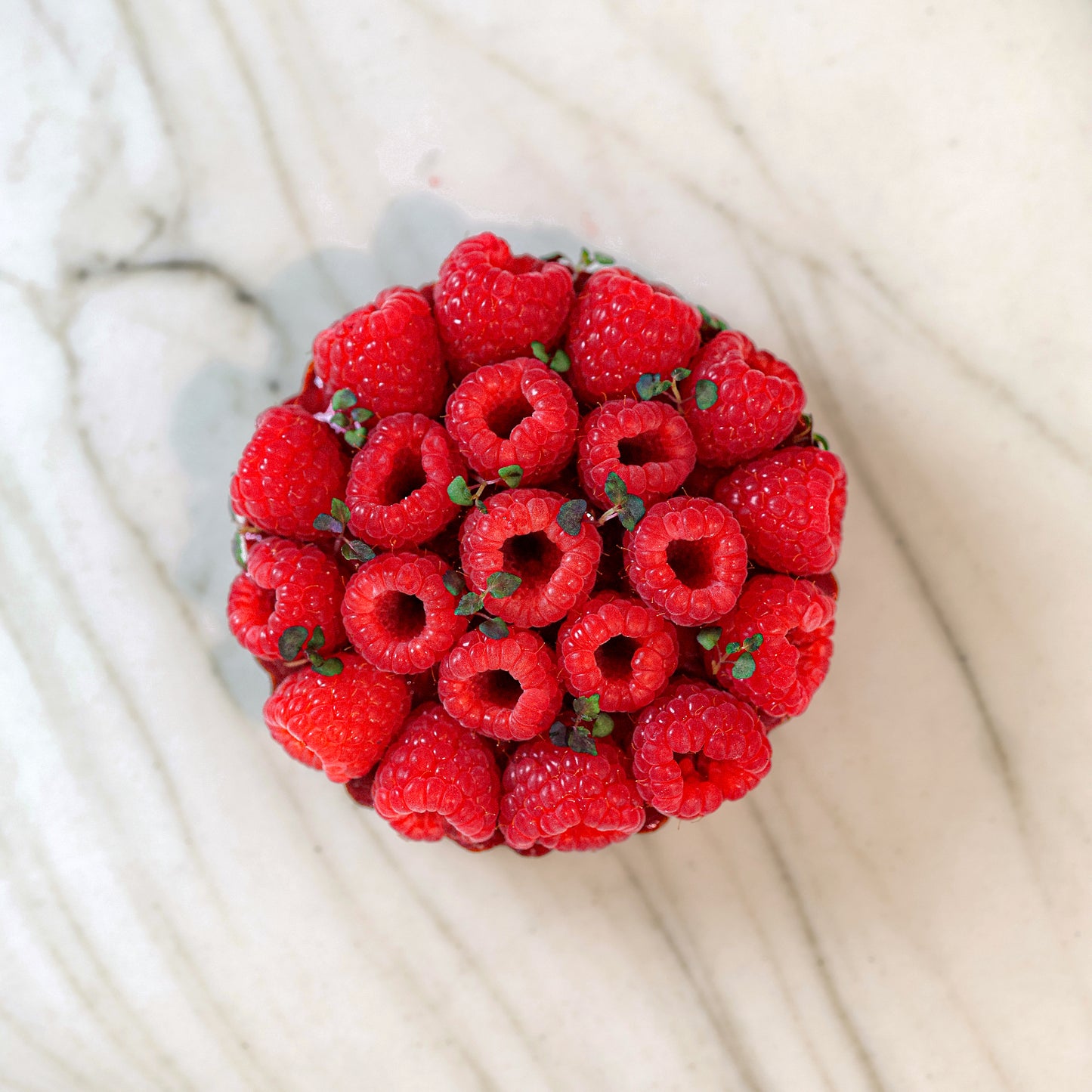 Tartes aux framboises